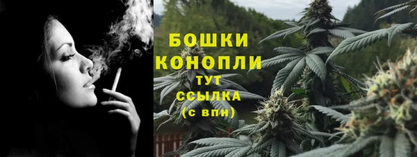 шишки Армянск
