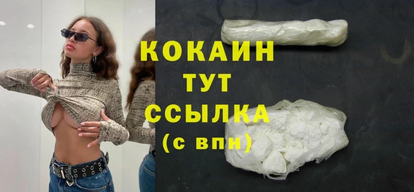 шишки Баксан