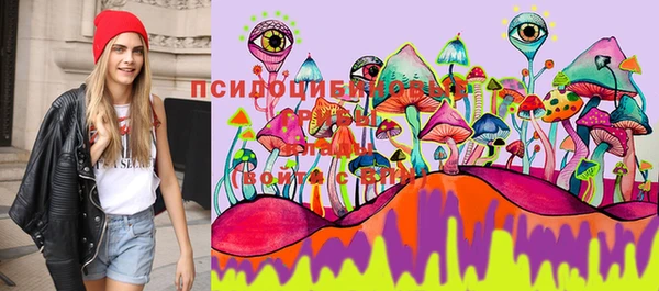 шишки Баксан