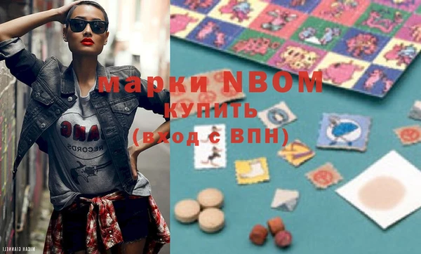 шишки Баксан
