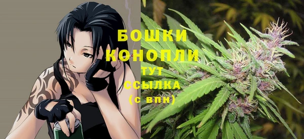 шишки Баксан