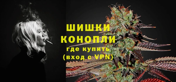 шишки Баксан