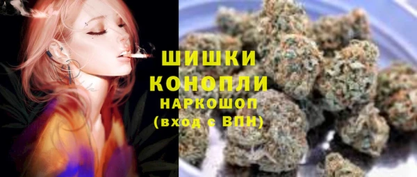 шишки Баксан