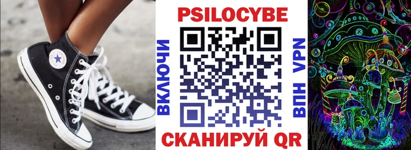 Псилоцибиновые грибы Psilocybe  Давлеканово 